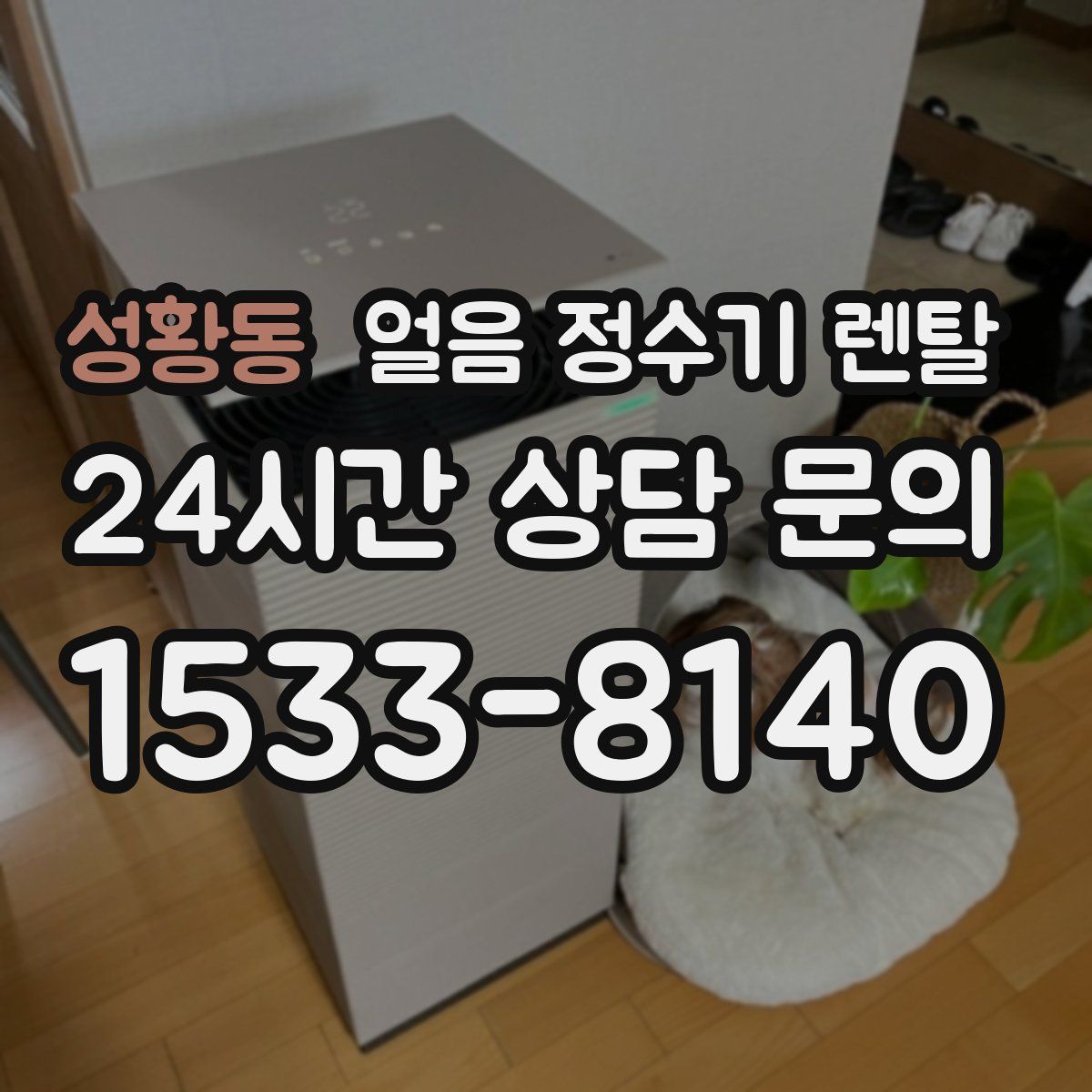 성황동 얼음 정수기 렌탈