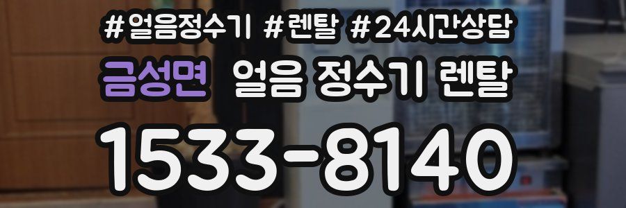금성면 얼음 정수기 렌탈