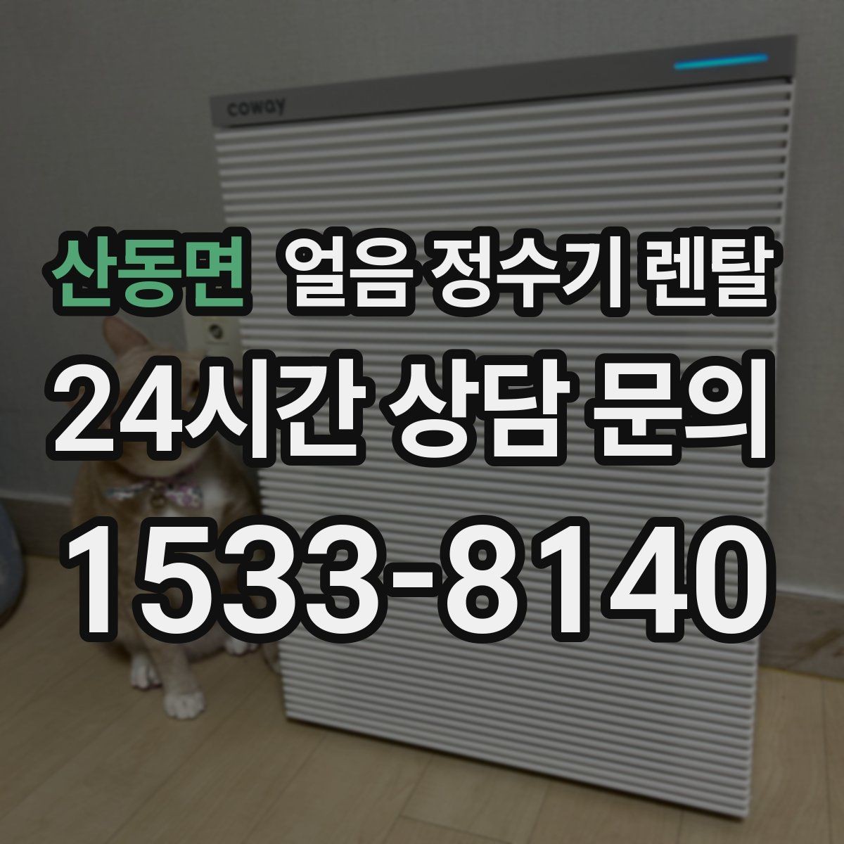 산동면 얼음 정수기 렌탈 얼음 구매 카페 비용까지 포함한 현실 비교