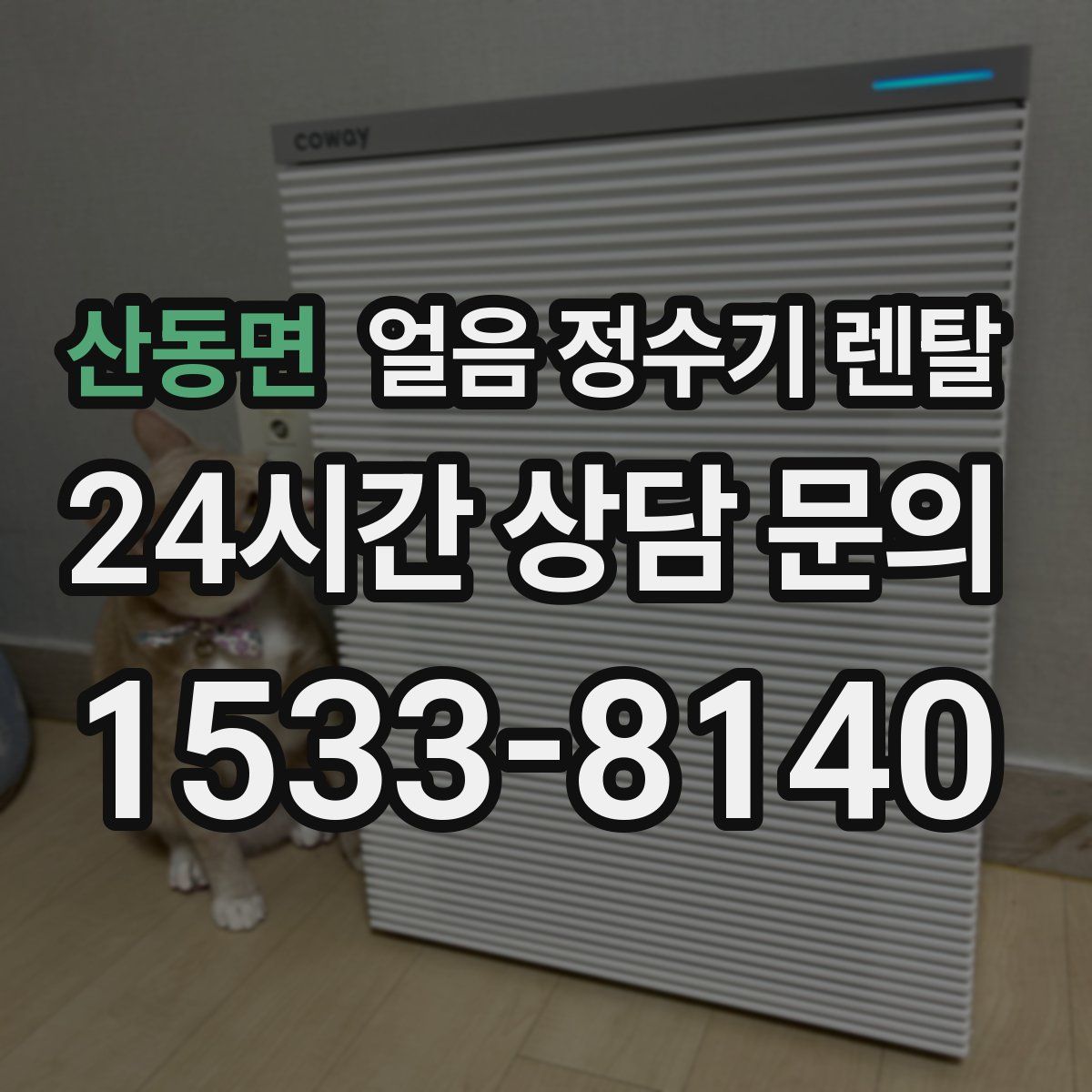산동면 얼음 정수기 렌탈