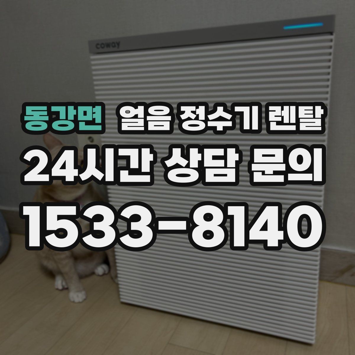 동강면 얼음 정수기 렌탈 얼음 통 분리 세척 가능한지 확인해야 하는 이유