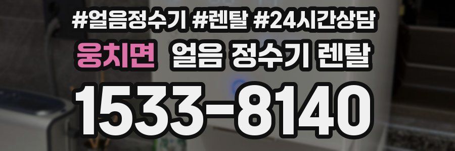 웅치면 얼음 정수기 렌탈