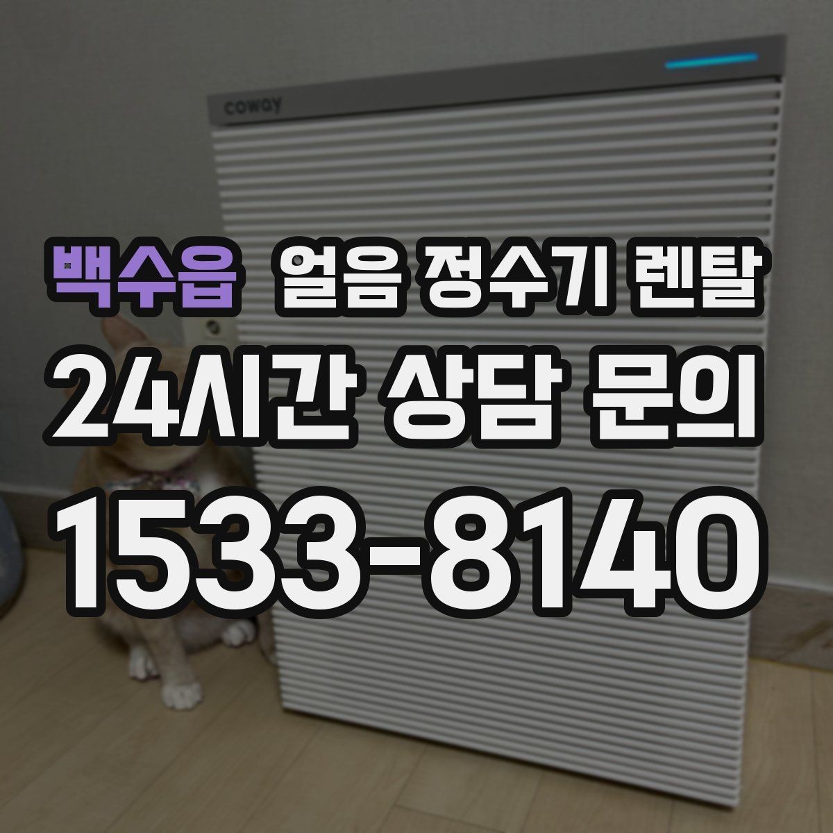 백수읍 얼음 정수기 렌탈 가스레인지 옆 설치가 불리한 이유