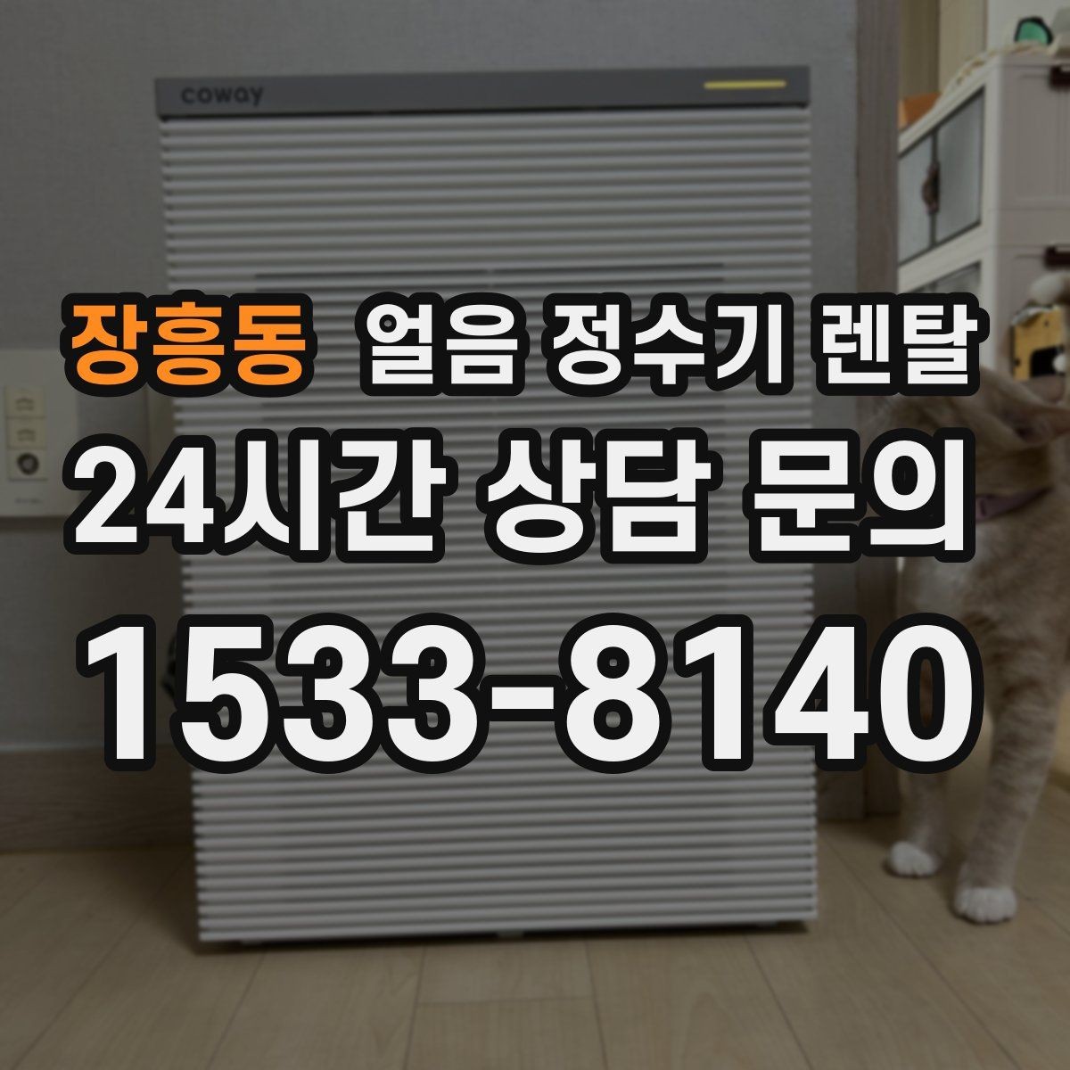 장흥동 얼음 정수기 렌탈 자동 살균 기능이 실제로 편한 이유
