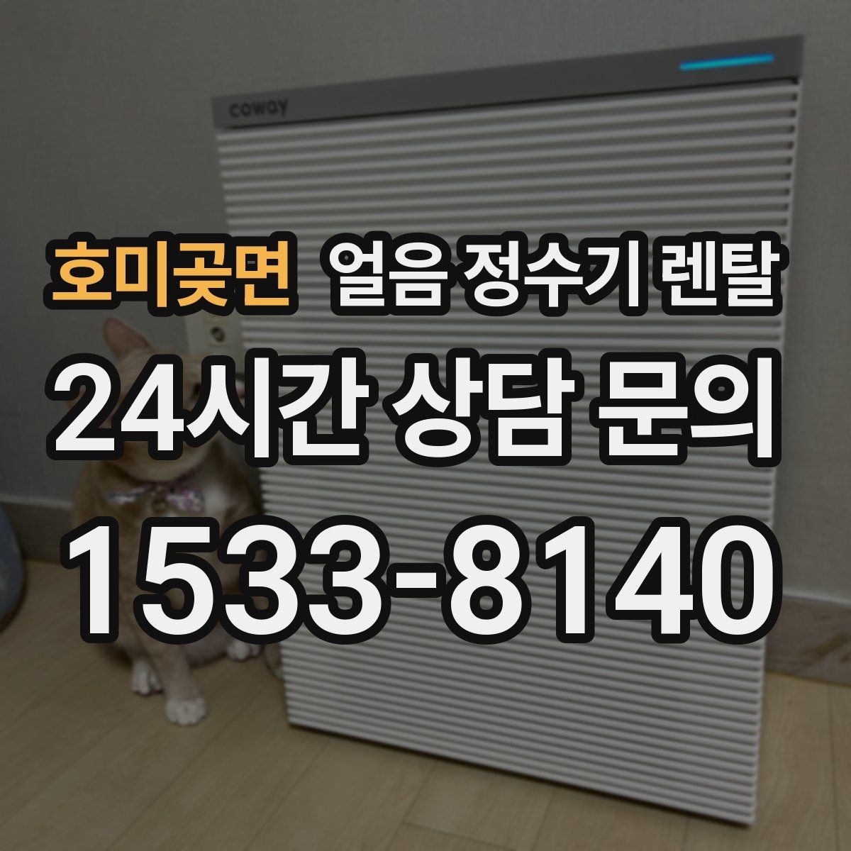 호미곶면 얼음 정수기 렌탈 생수 얼음 구매 비용과 비교하면 달라지는 계산