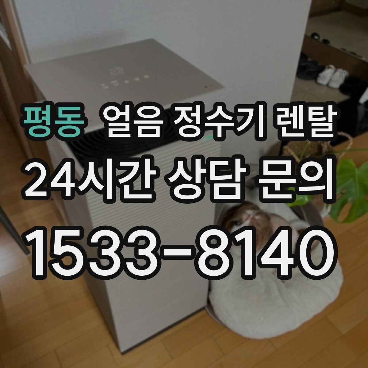 평동 얼음 정수기 렌탈