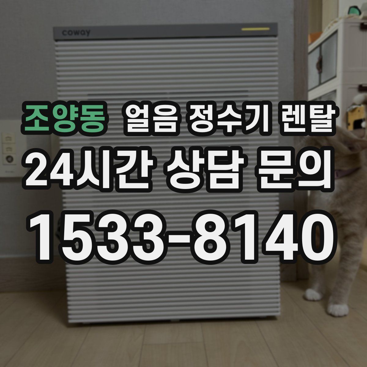 조양동 얼음 정수기 렌탈