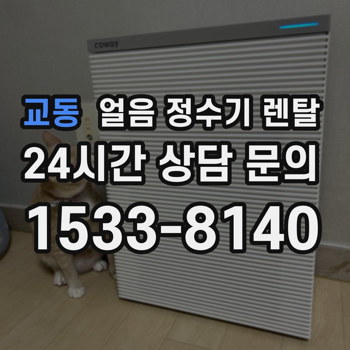 교동 얼음 정수기 렌탈