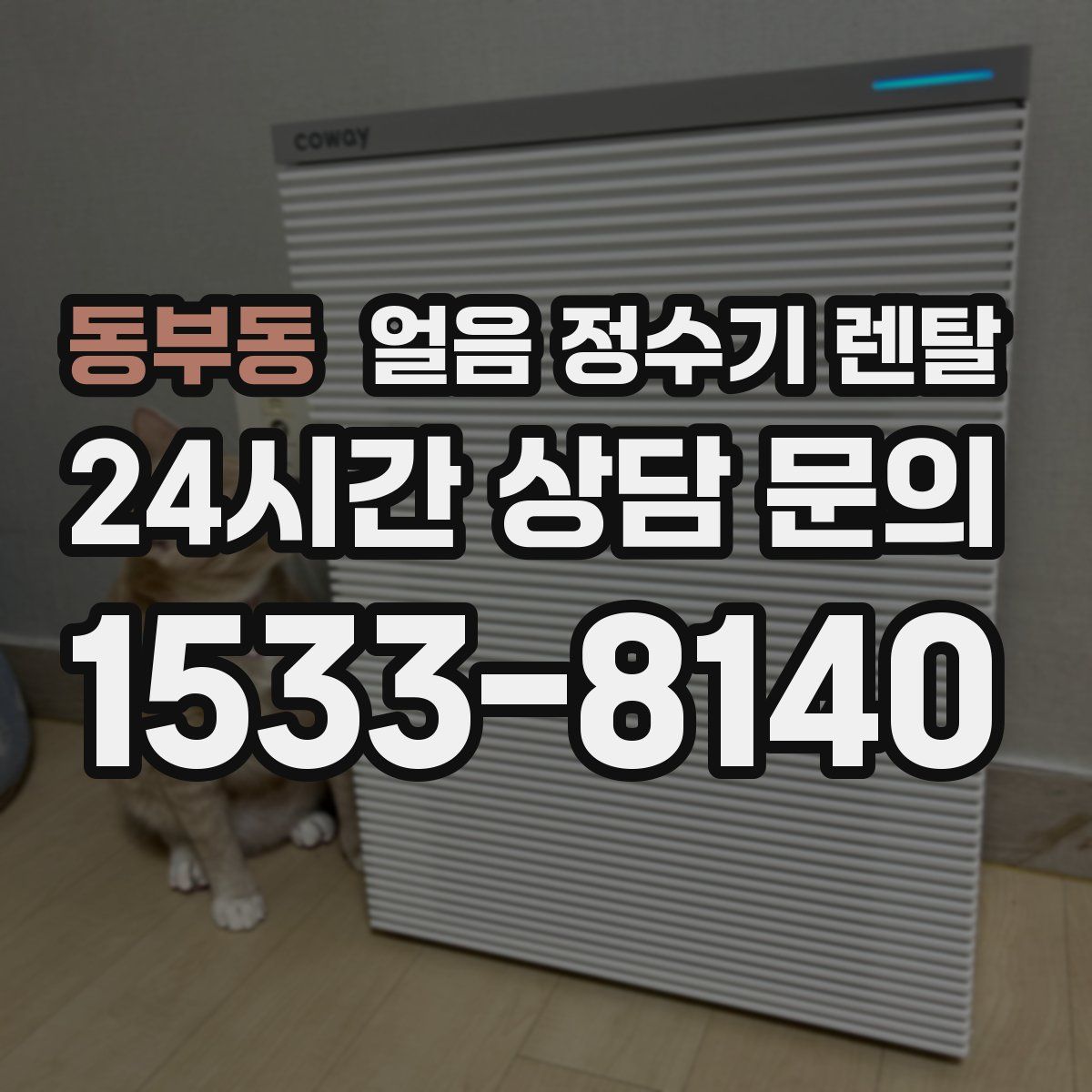 동부동 얼음 정수기 렌탈