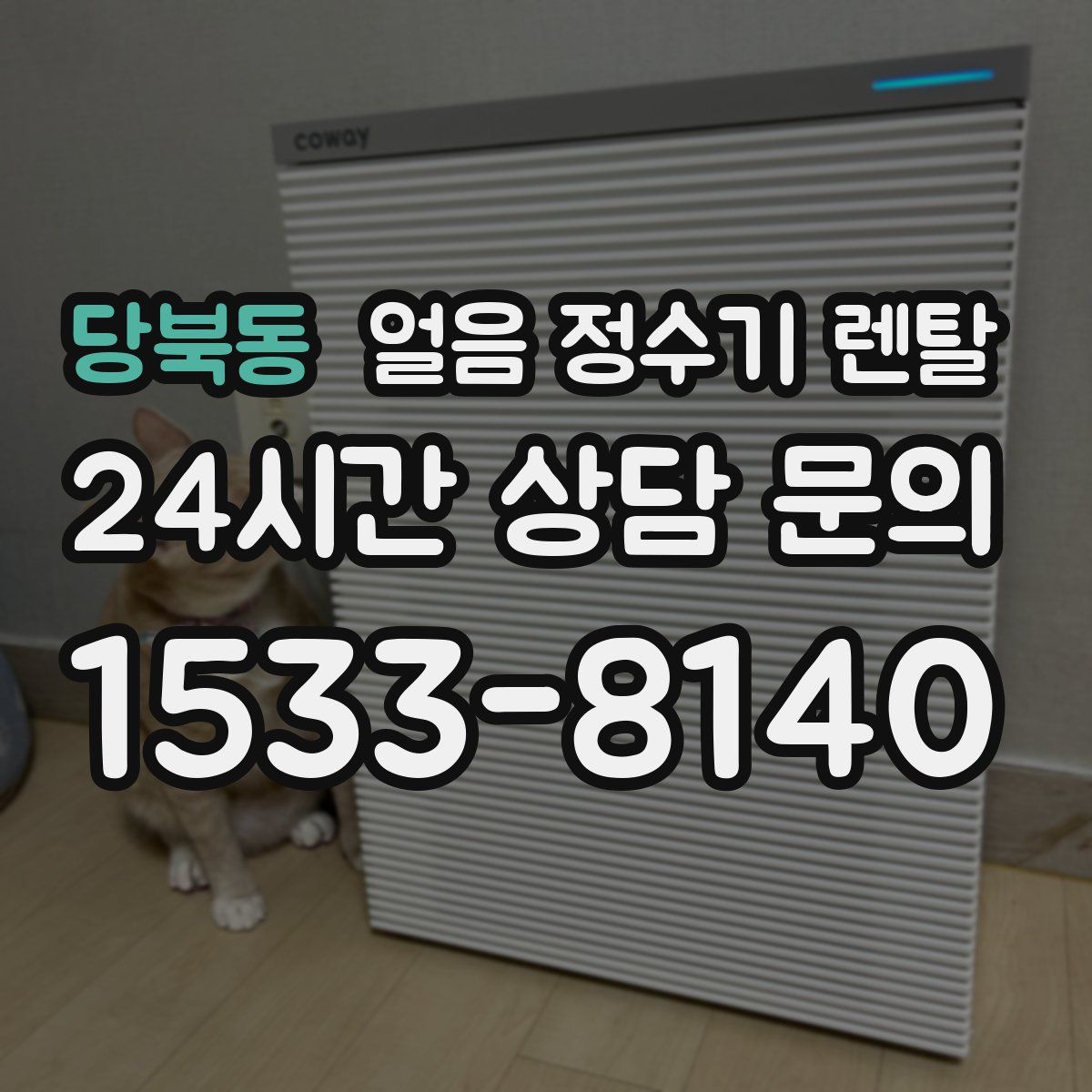 당북동 얼음 정수기 렌탈