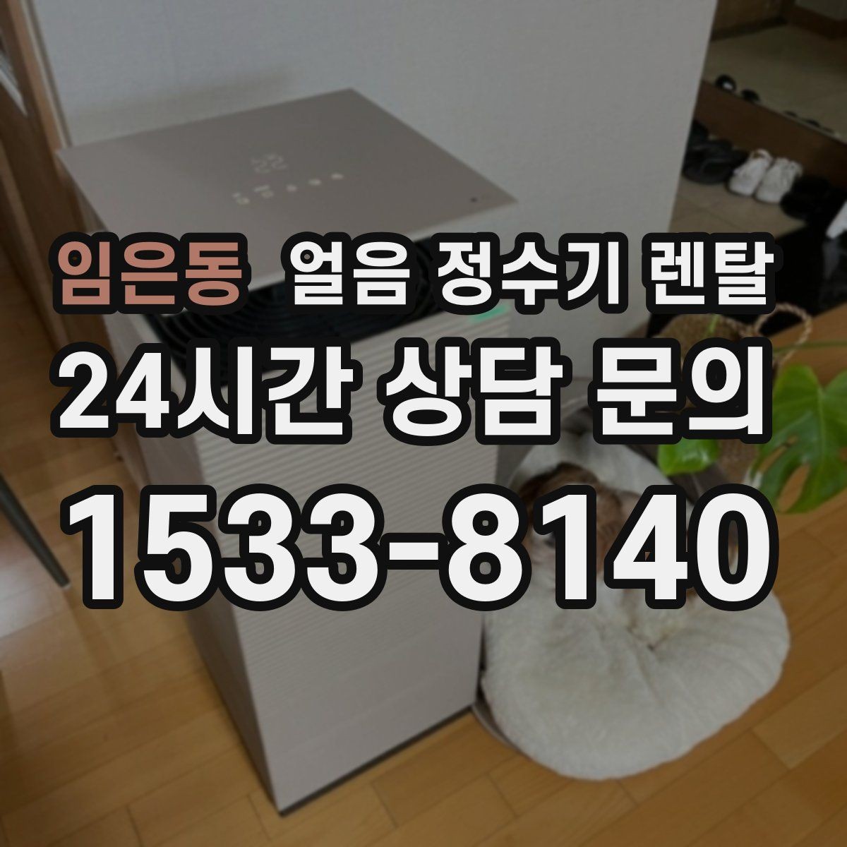 임은동 얼음 정수기 렌탈 위생 걱정 덜고 얼음을 쓰는 방법