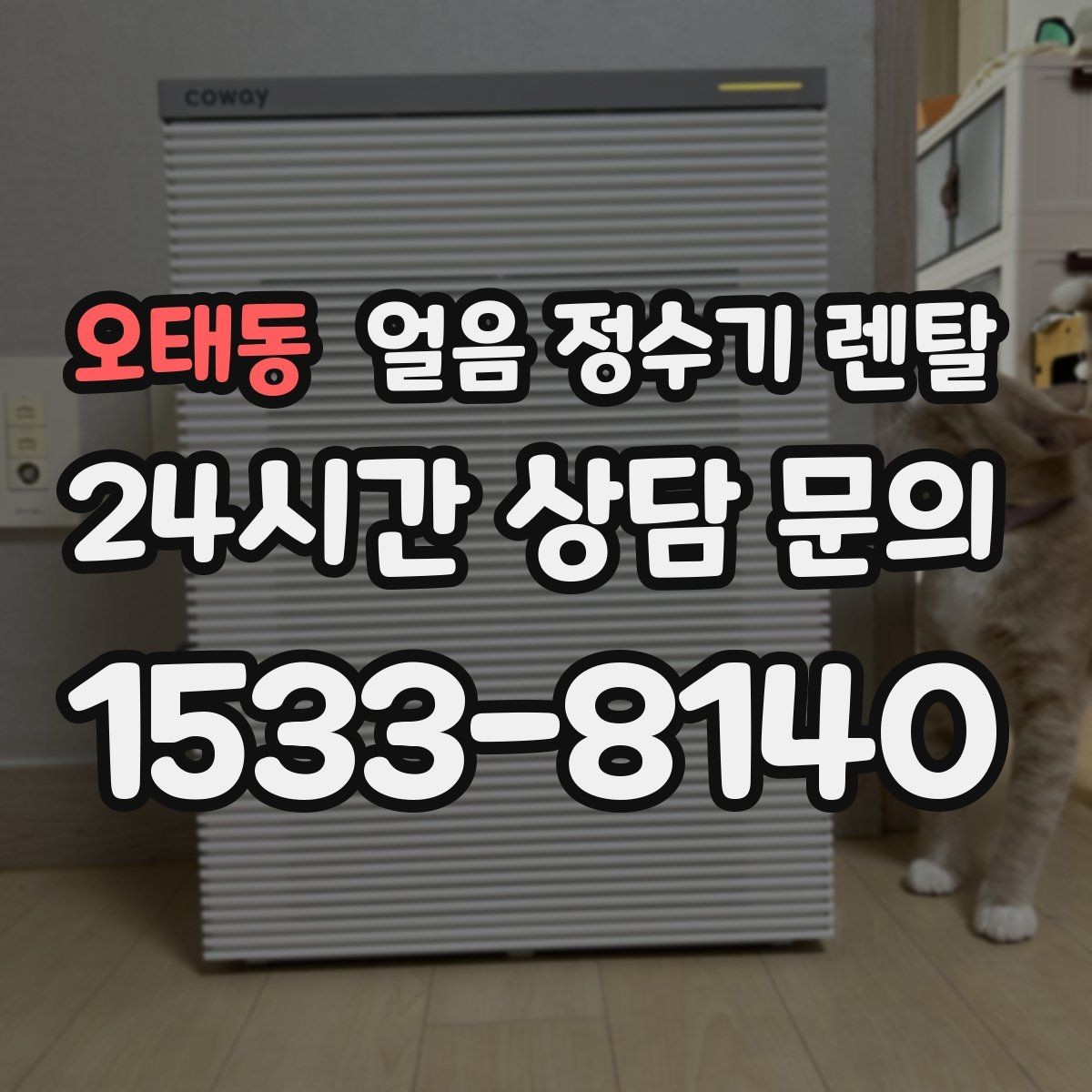 오태동 얼음 정수기 렌탈 얼음이 튀지 않게 받는 방법과 구조