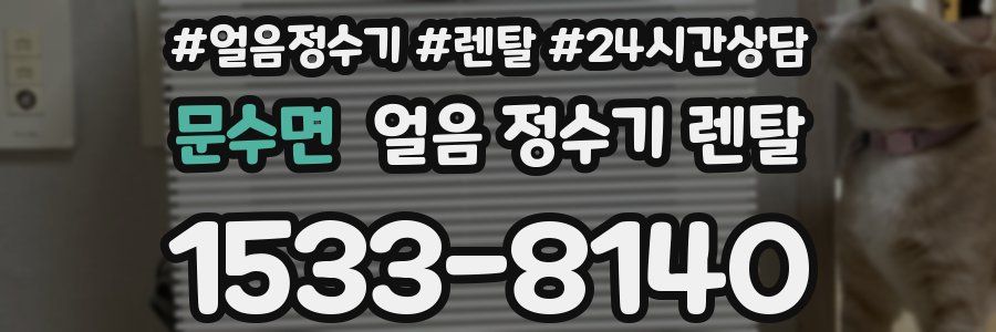 문수면 얼음 정수기 렌탈