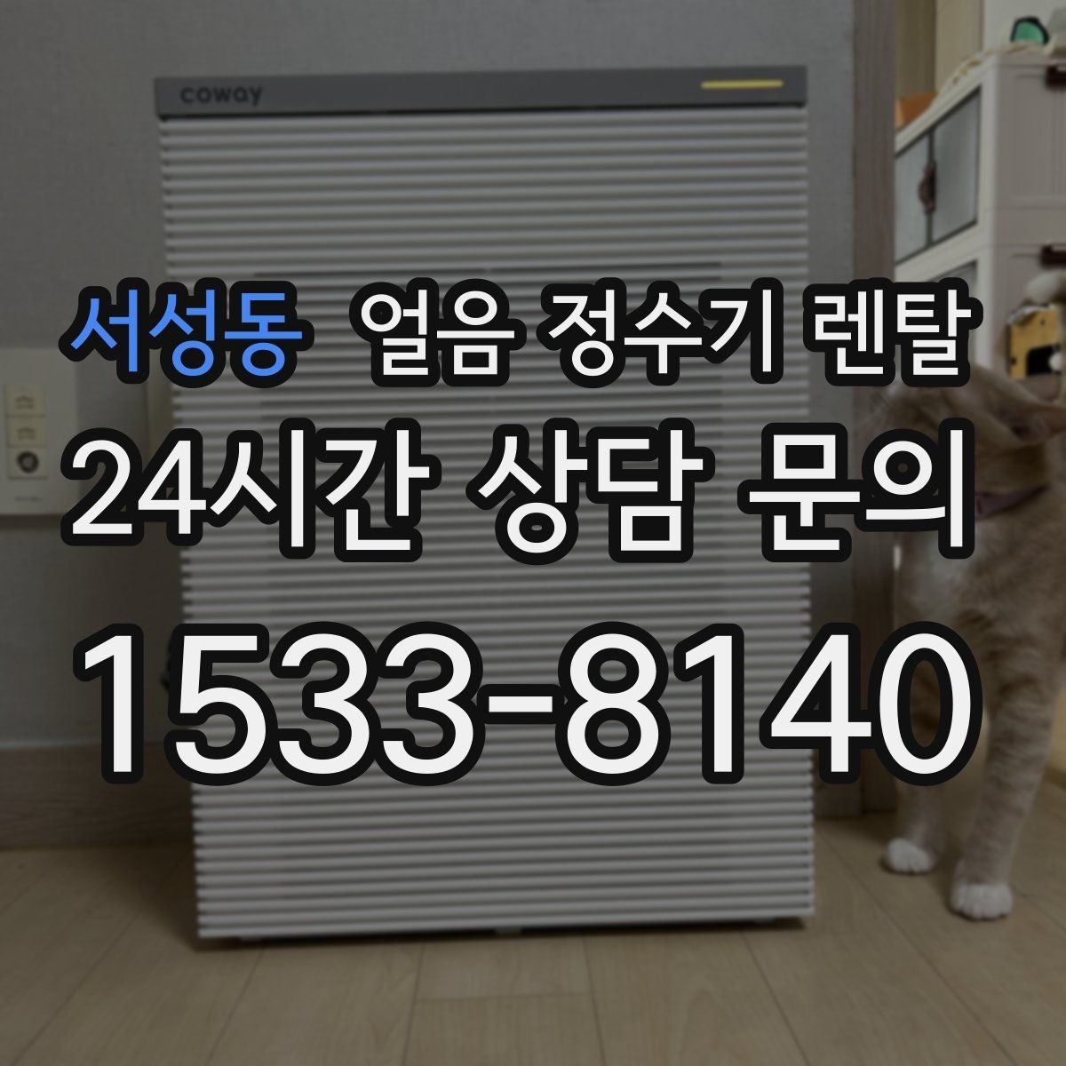 서성동 얼음 정수기 렌탈 1인 가구에 얼음 정수기가 과할까