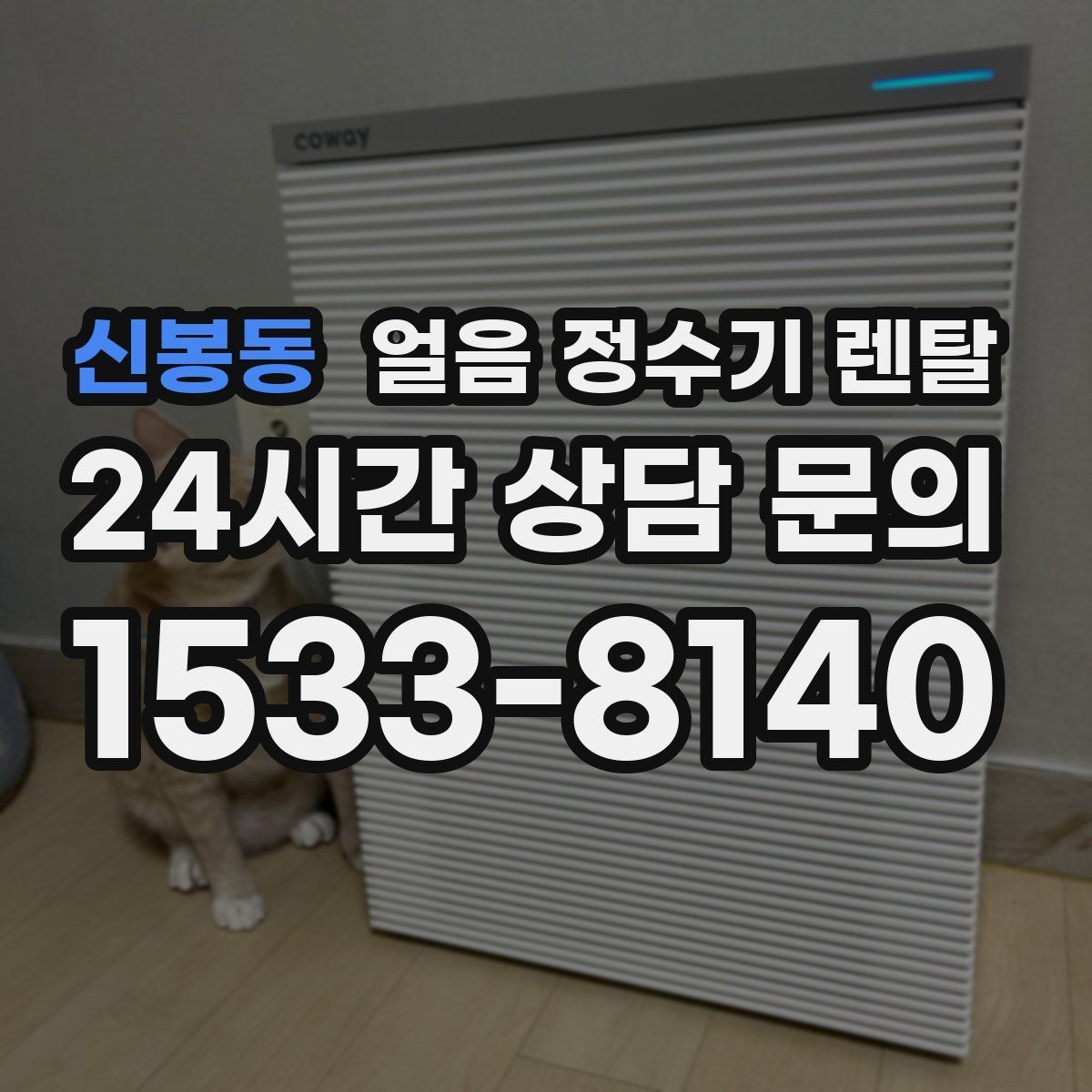 신봉동 얼음 정수기 렌탈 전세 월세에서도 설치 가능한 조건 정리