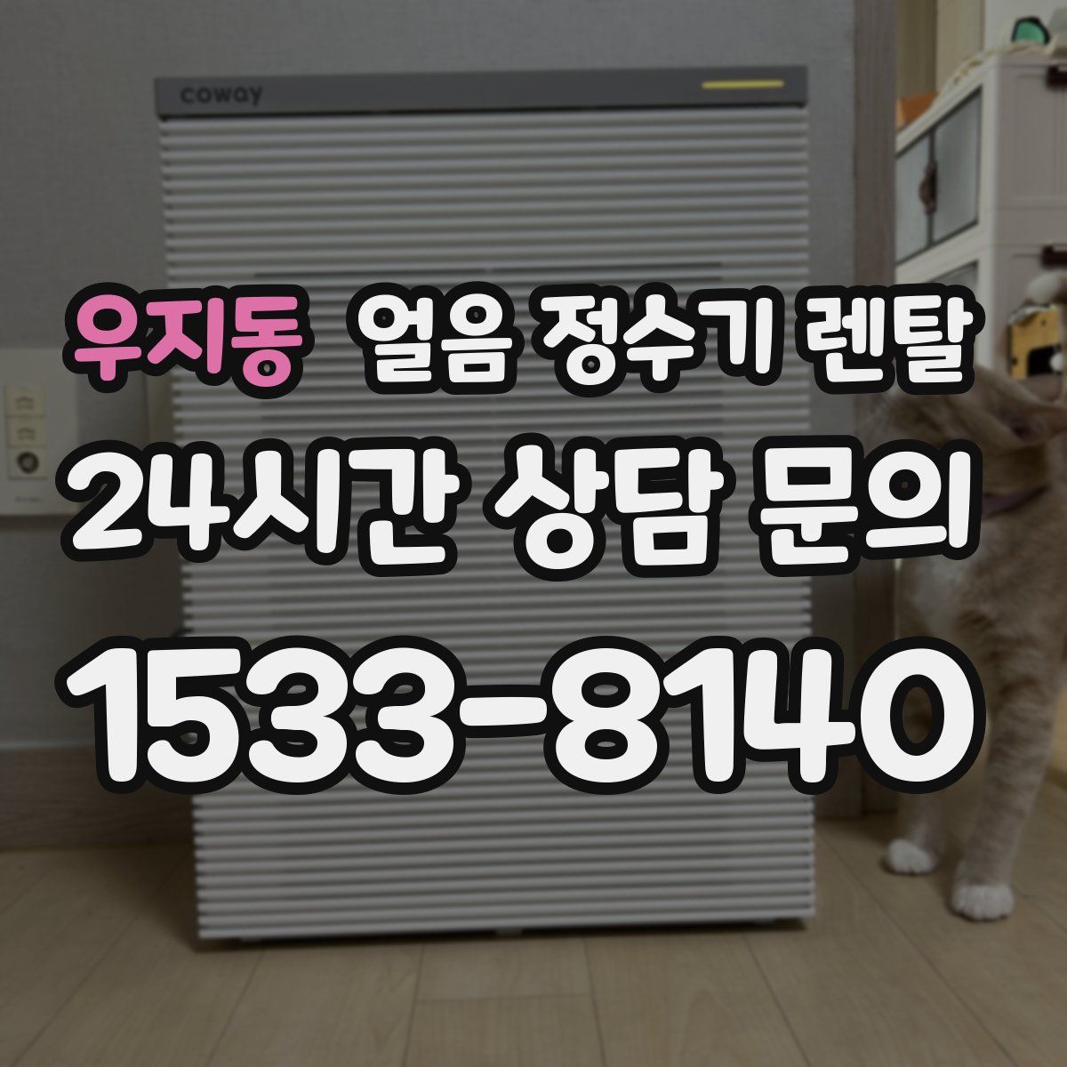 우지동 얼음 정수기 렌탈