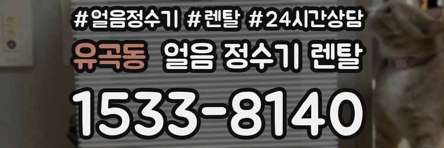 유곡동 얼음 정수기 렌탈