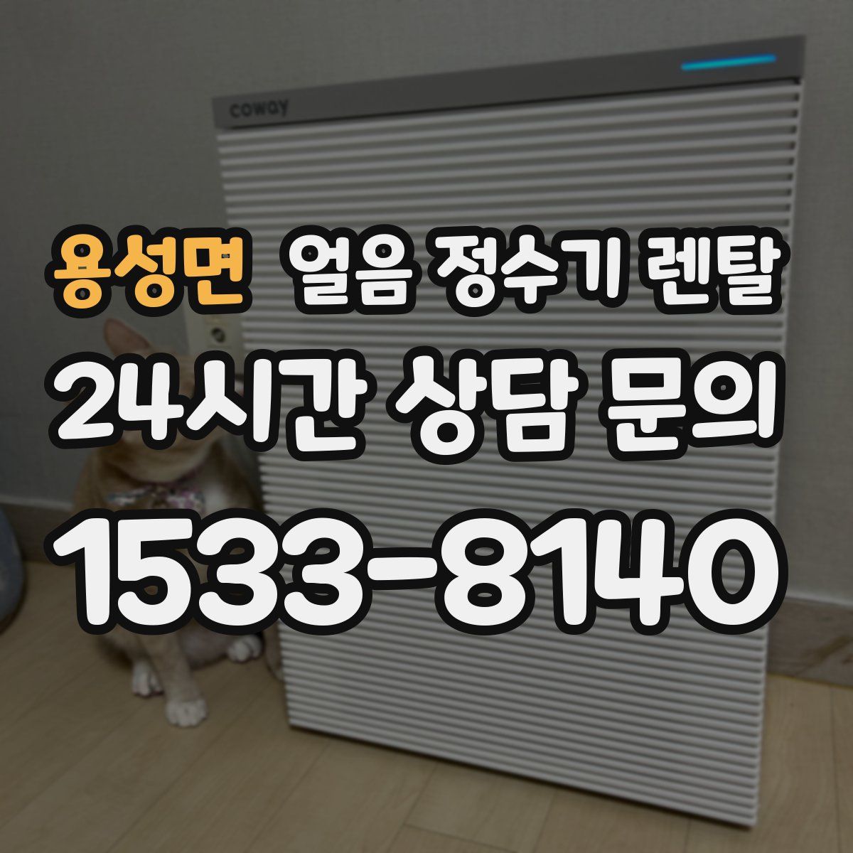 용성면 얼음 정수기 렌탈