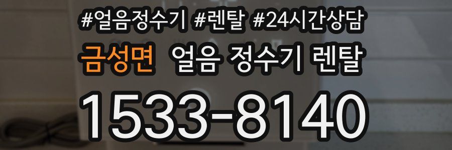 금성면 얼음 정수기 렌탈