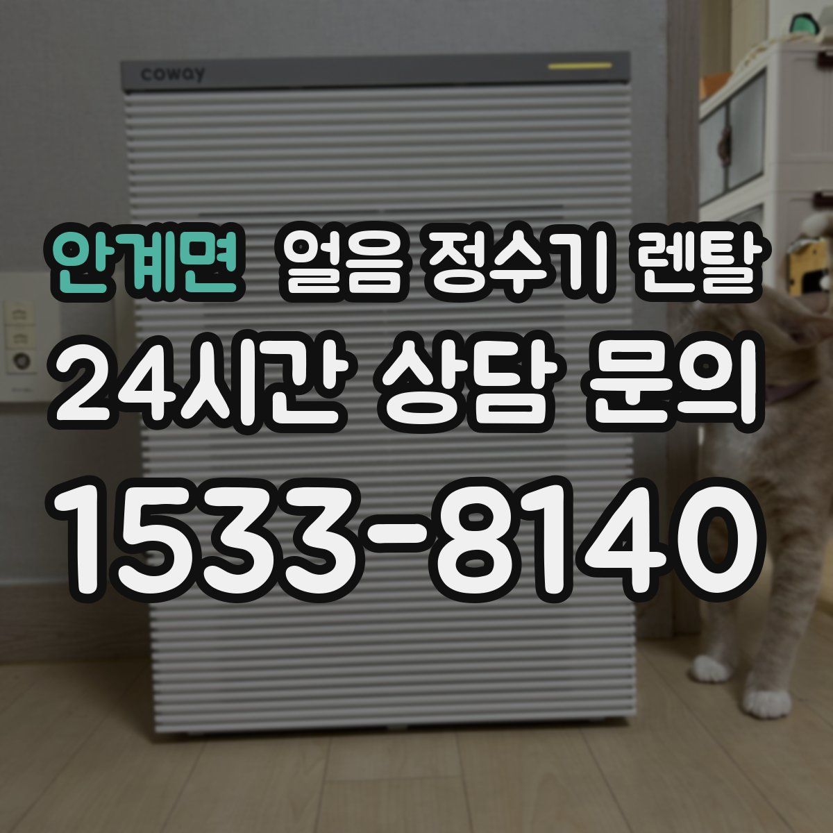 안계면 얼음 정수기 렌탈