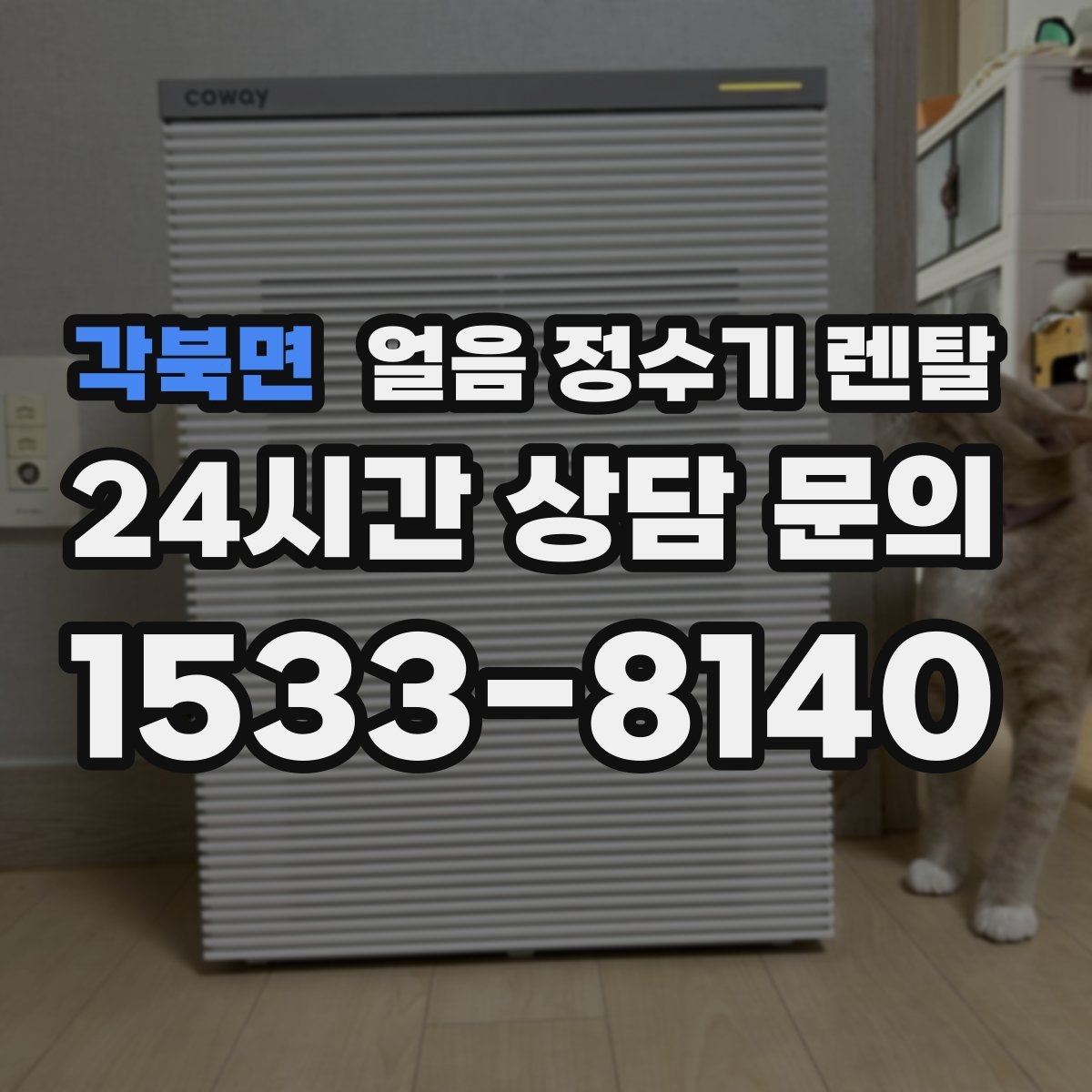 각북면 얼음 정수기 렌탈 소음이 걱정될 때 확인할 포인트