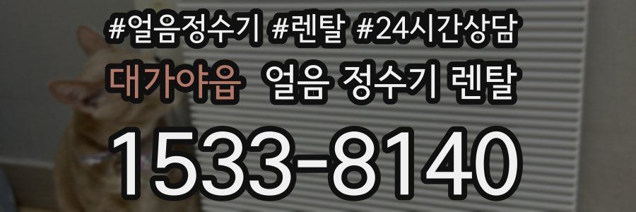 대가야읍 얼음 정수기 렌탈