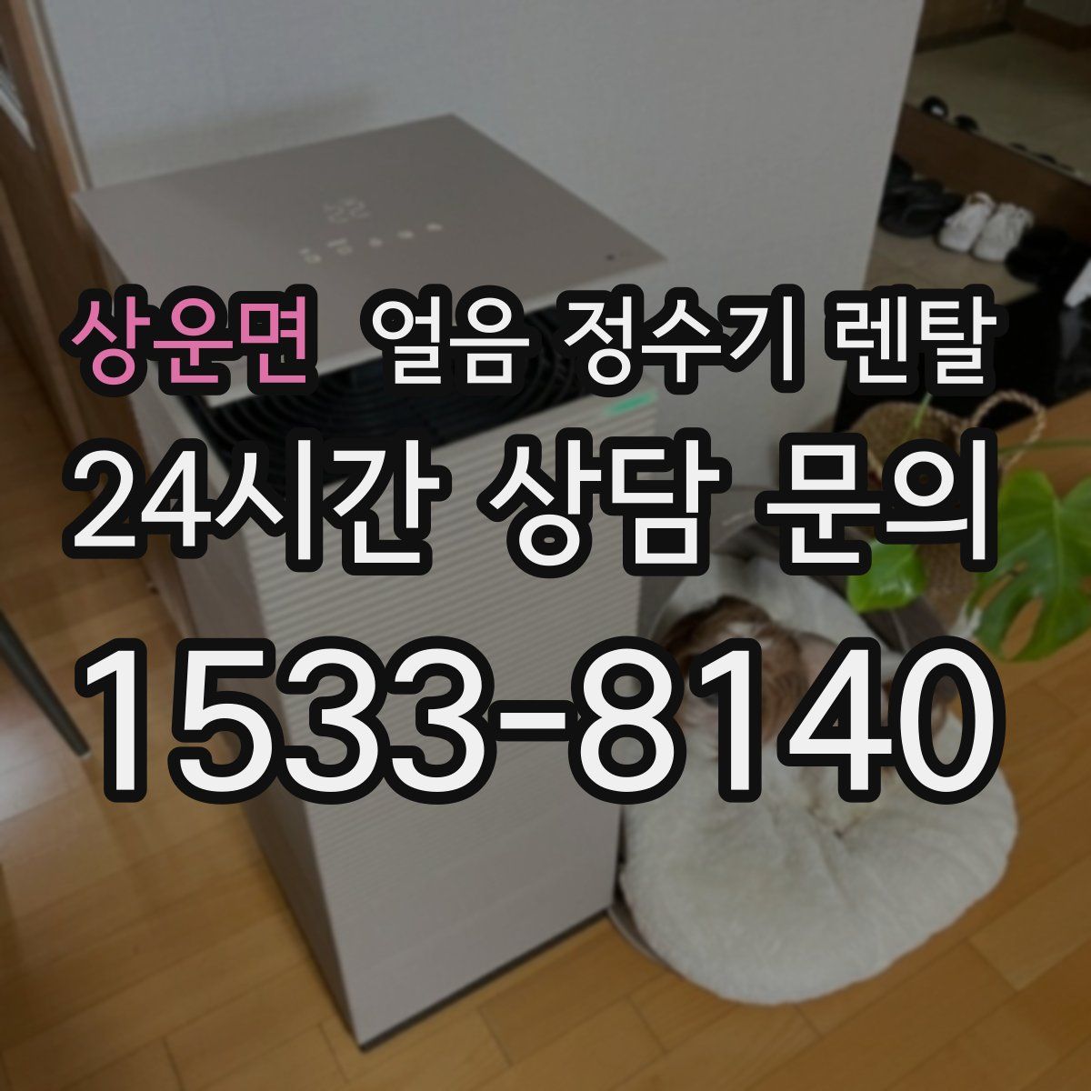 상운면 얼음 정수기 렌탈