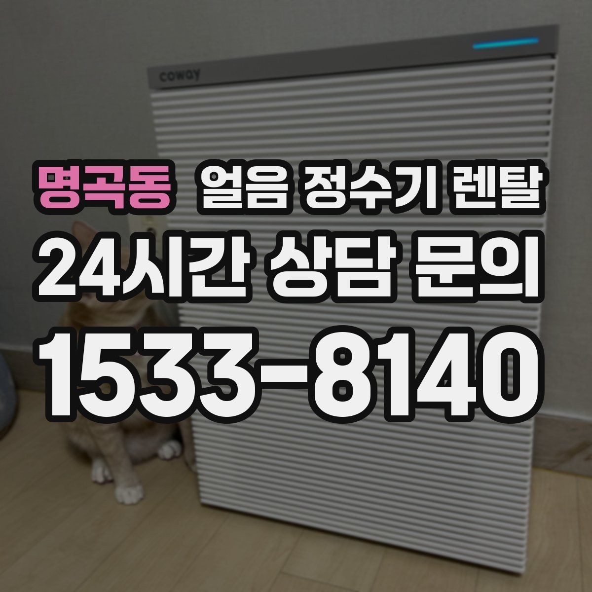 명곡동 얼음 정수기 렌탈 사은품보다 관리 위생 조건이 중요한 이유