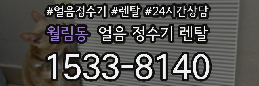 월림동 얼음 정수기 렌탈