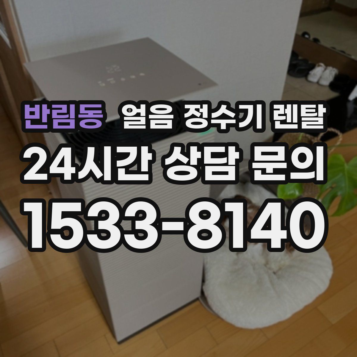 반림동 얼음 정수기 렌탈