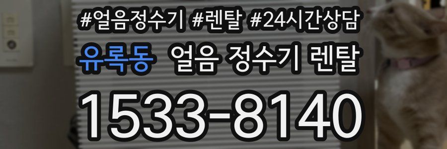 유록동 얼음 정수기 렌탈