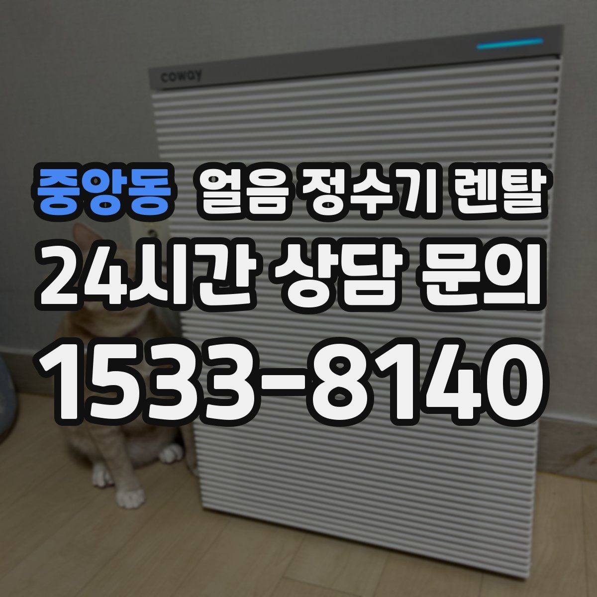 중앙동 얼음 정수기 렌탈 청소가 쉬운 구조를 고르는 방법