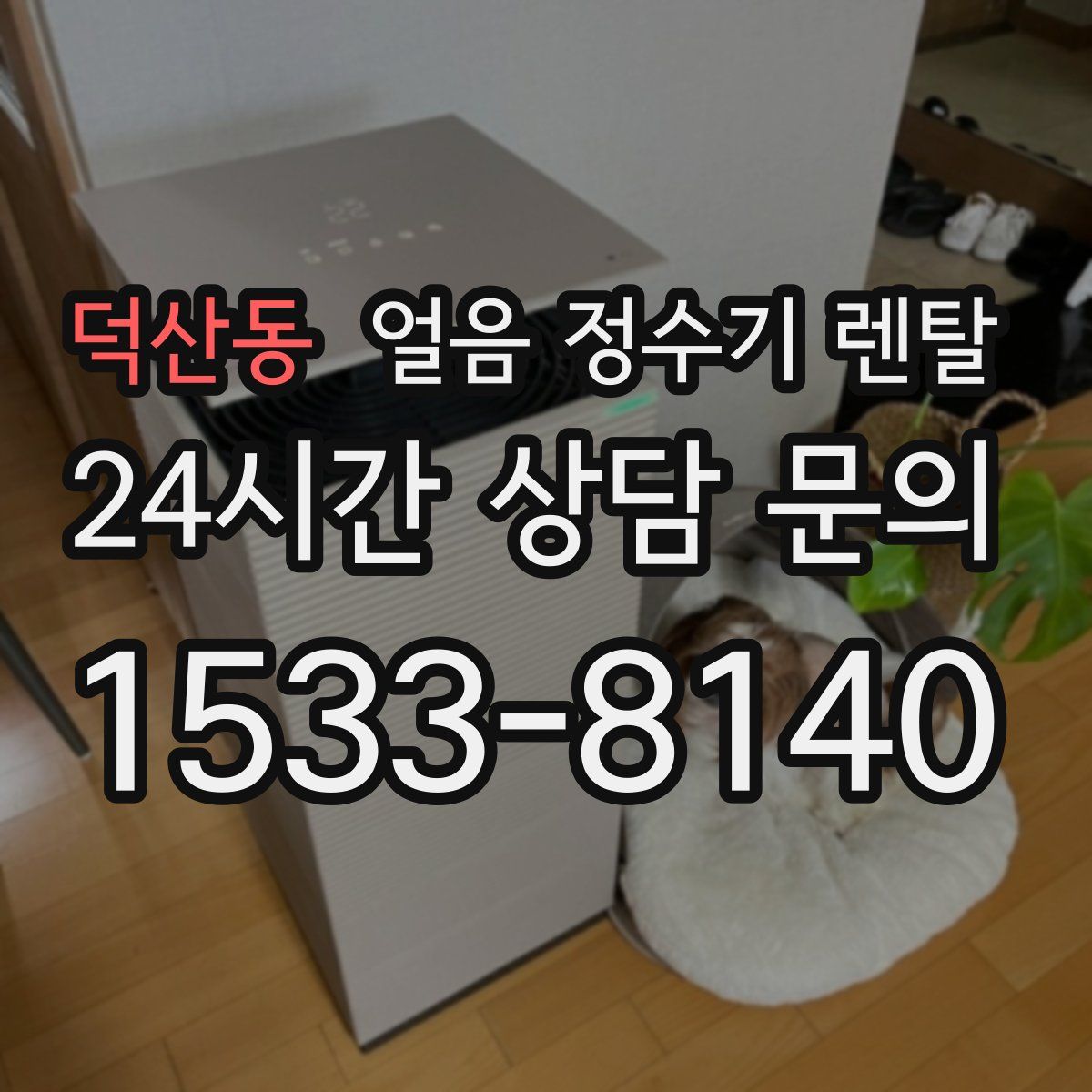 덕산동 얼음 정수기 렌탈