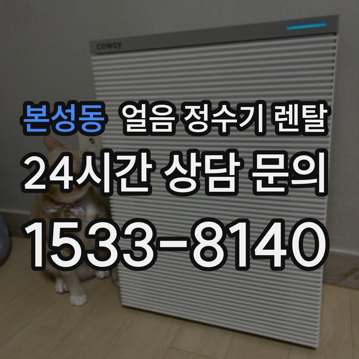 본성동 얼음 정수기 렌탈 소음이 걱정될 때 확인할 포인트