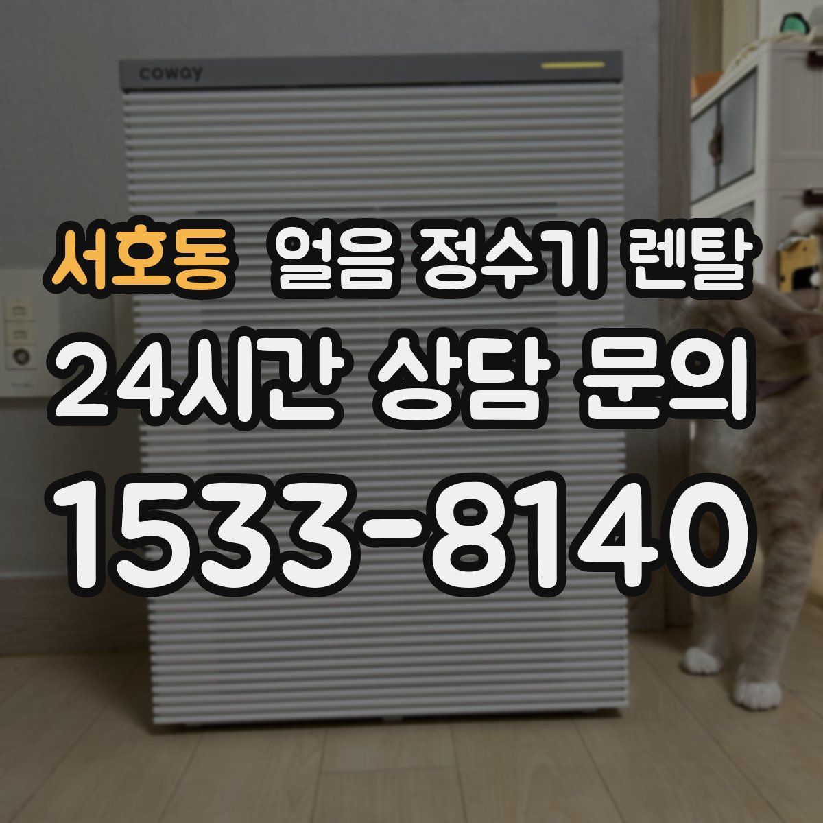 서호동 얼음 정수기 렌탈