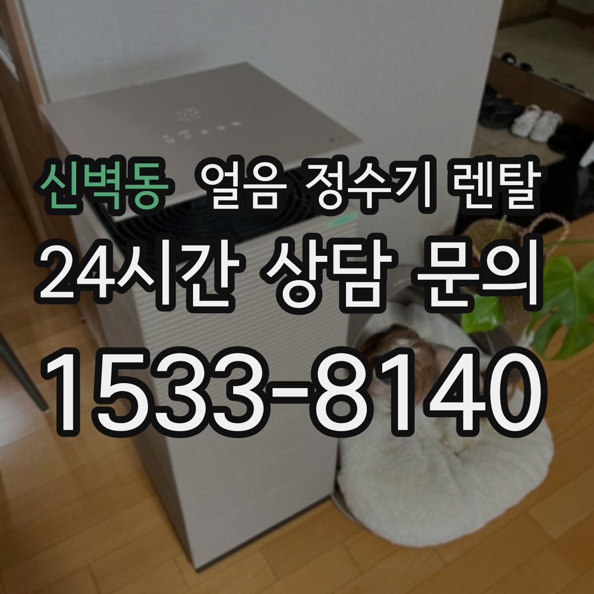 신벽동 얼음 정수기 렌탈