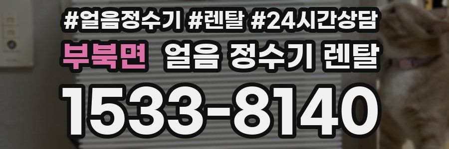 부북면 얼음 정수기 렌탈