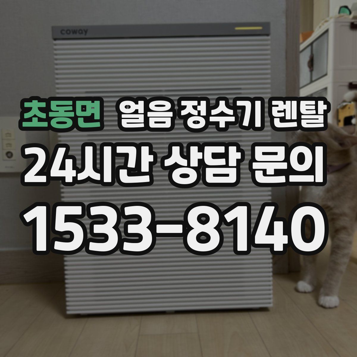 초동면 얼음 정수기 렌탈