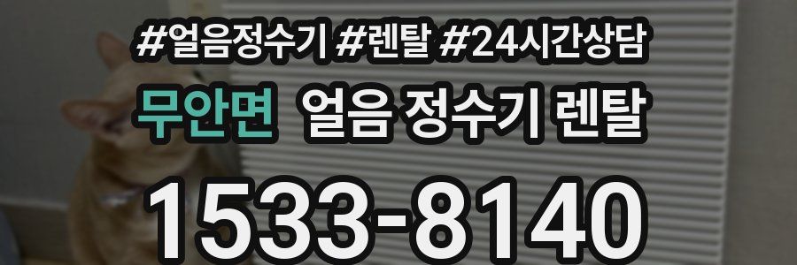 무안면 얼음 정수기 렌탈