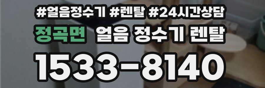 정곡면 얼음 정수기 렌탈