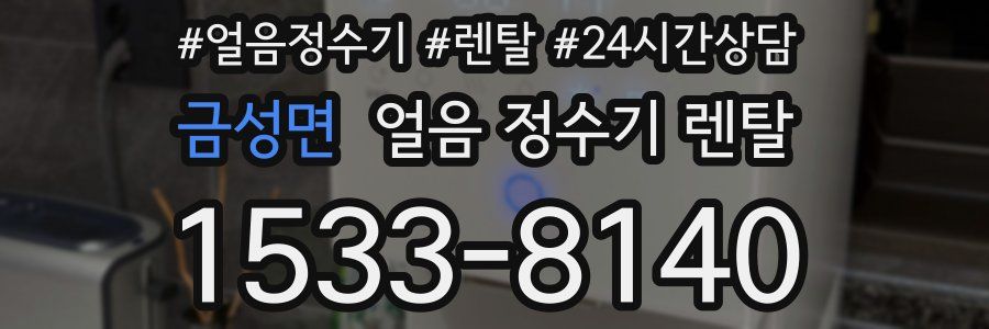 금성면 얼음 정수기 렌탈