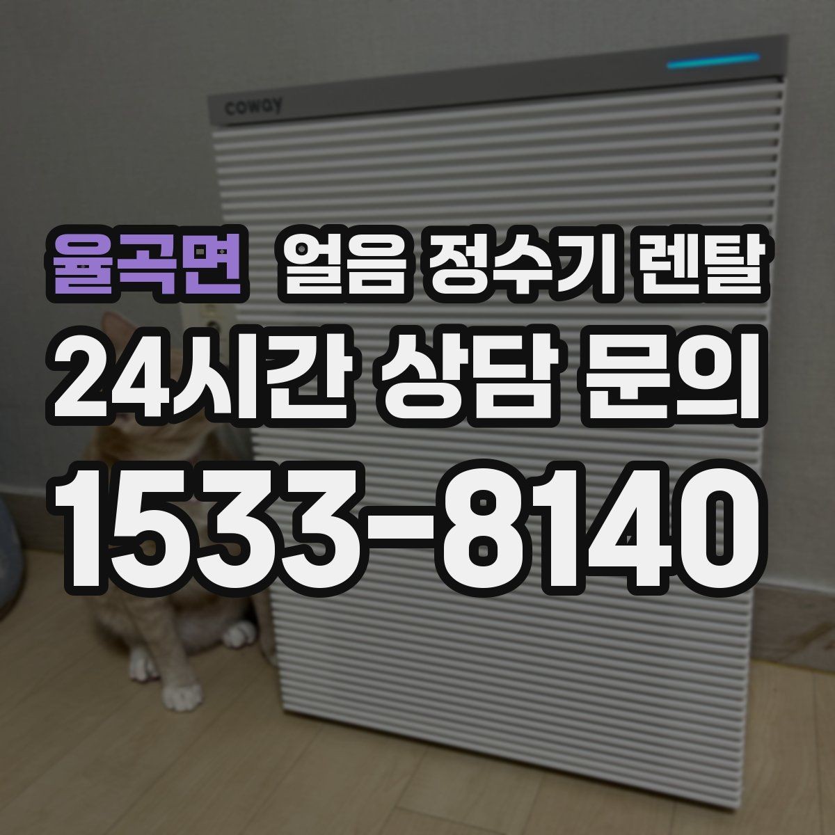 율곡면 얼음 정수기 렌탈 하루 얼음 사용량으로 모델 고르는 법