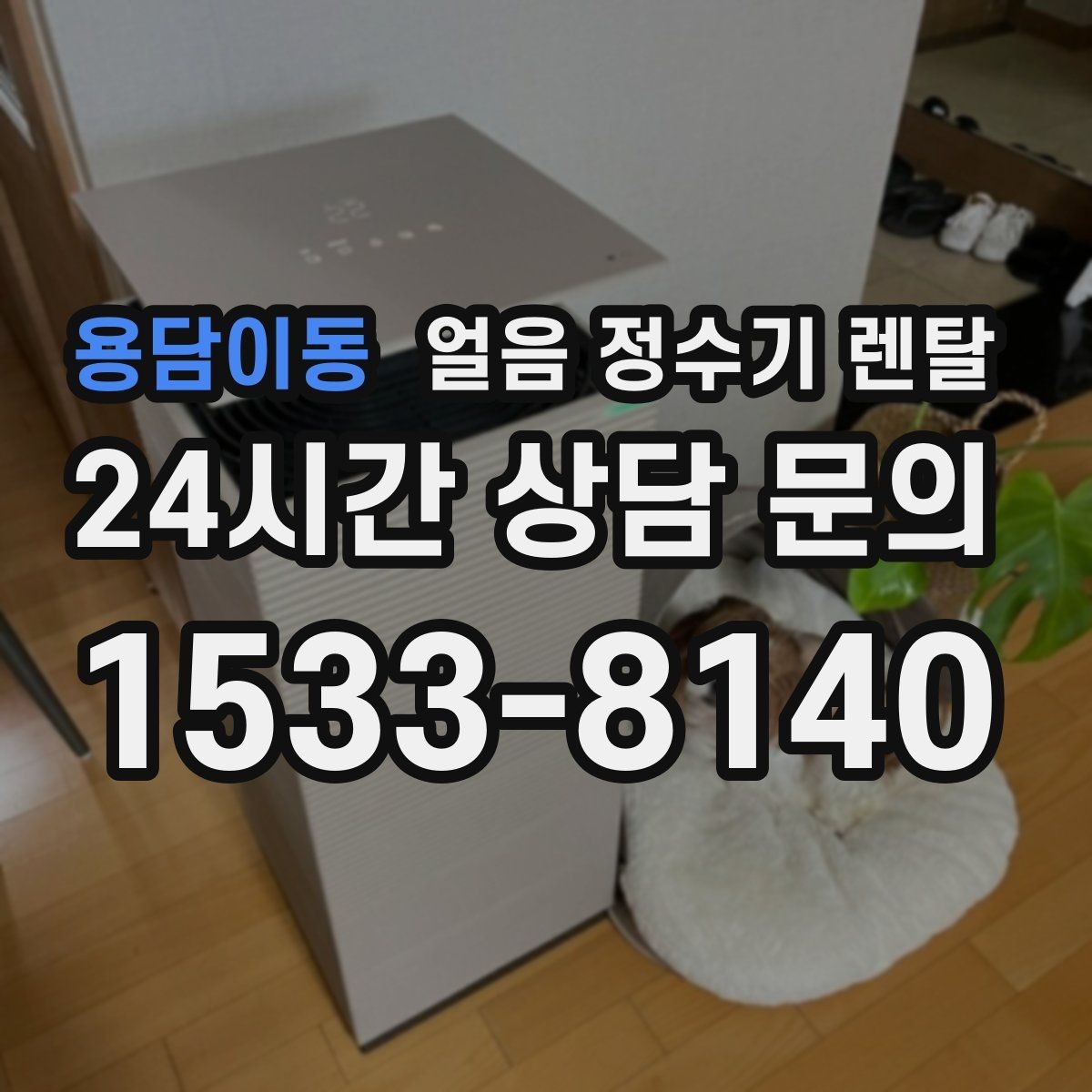 용담이동 얼음 정수기 렌탈 월 렌탈료에 포함되는 관리 조건 정리