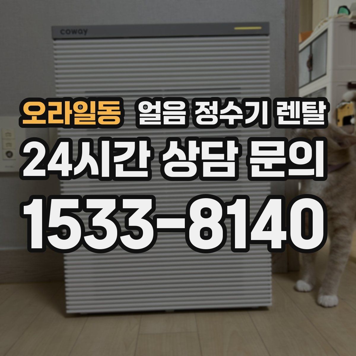 오라일동 얼음 정수기 렌탈 염소 냄새가 싫을 때 선택 기준