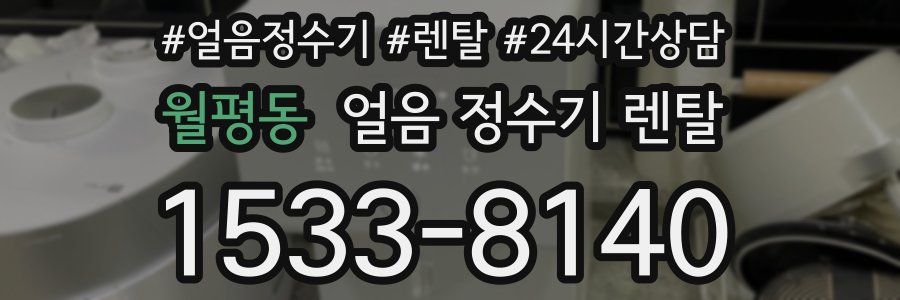 월평동 얼음 정수기 렌탈