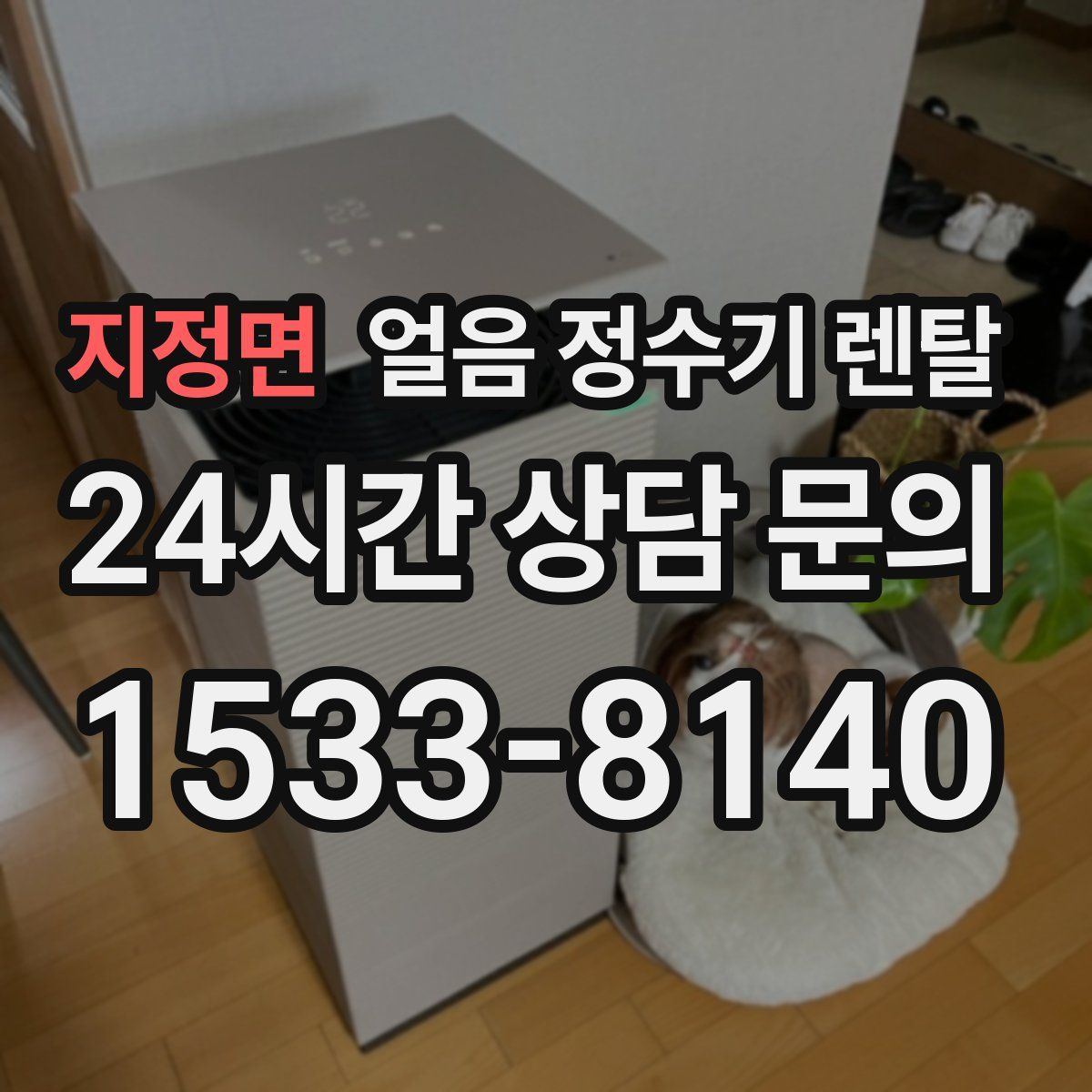 지정면 얼음 정수기 렌탈