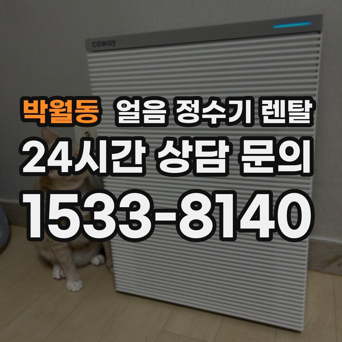 박월동 얼음 정수기 렌탈 얼음 크기(작은 큰) 선택 기준