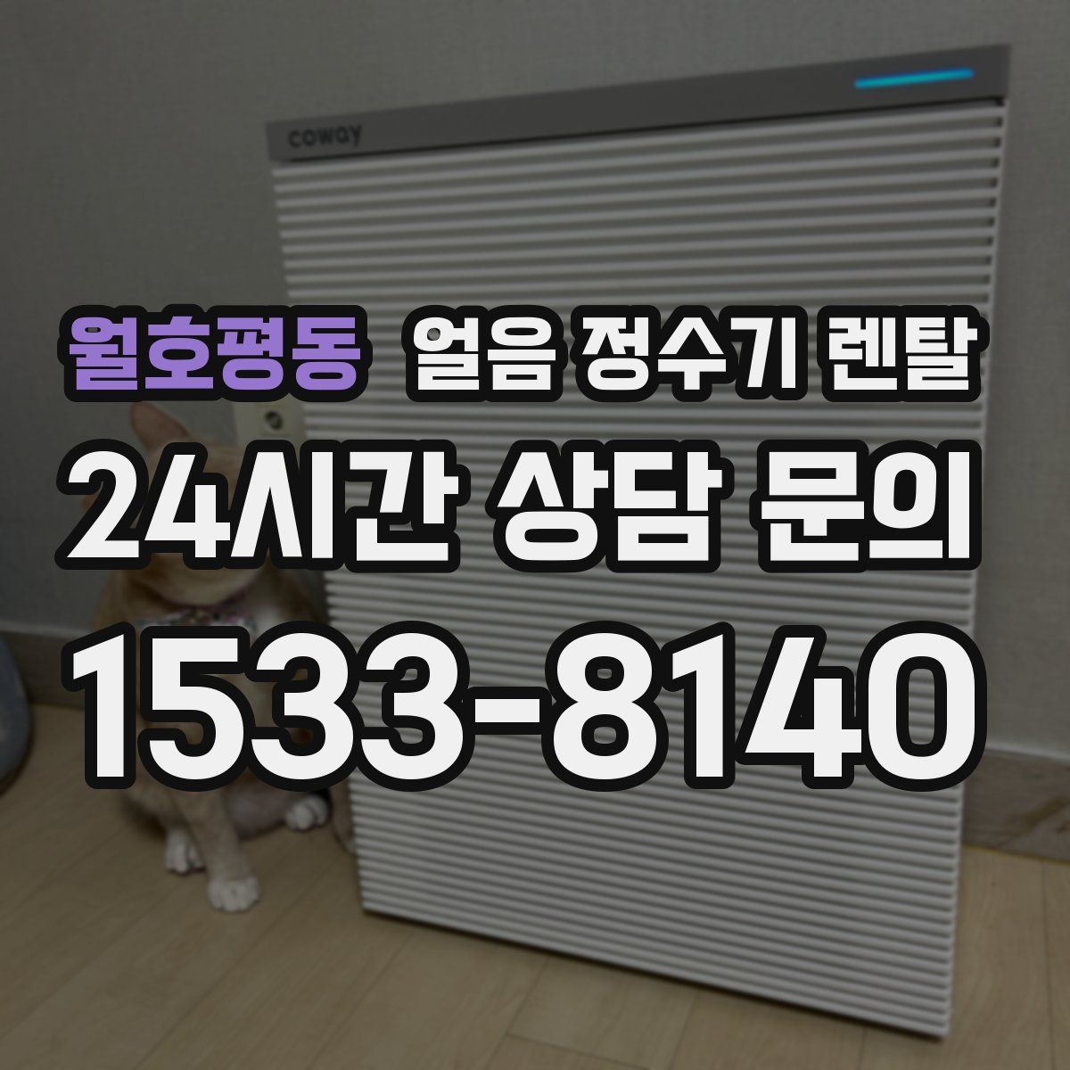 월호평동 얼음 정수기 렌탈