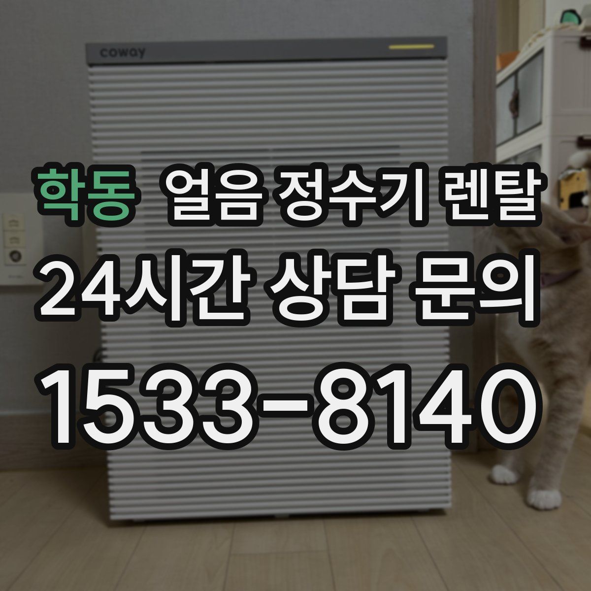 학동 얼음 정수기 렌탈