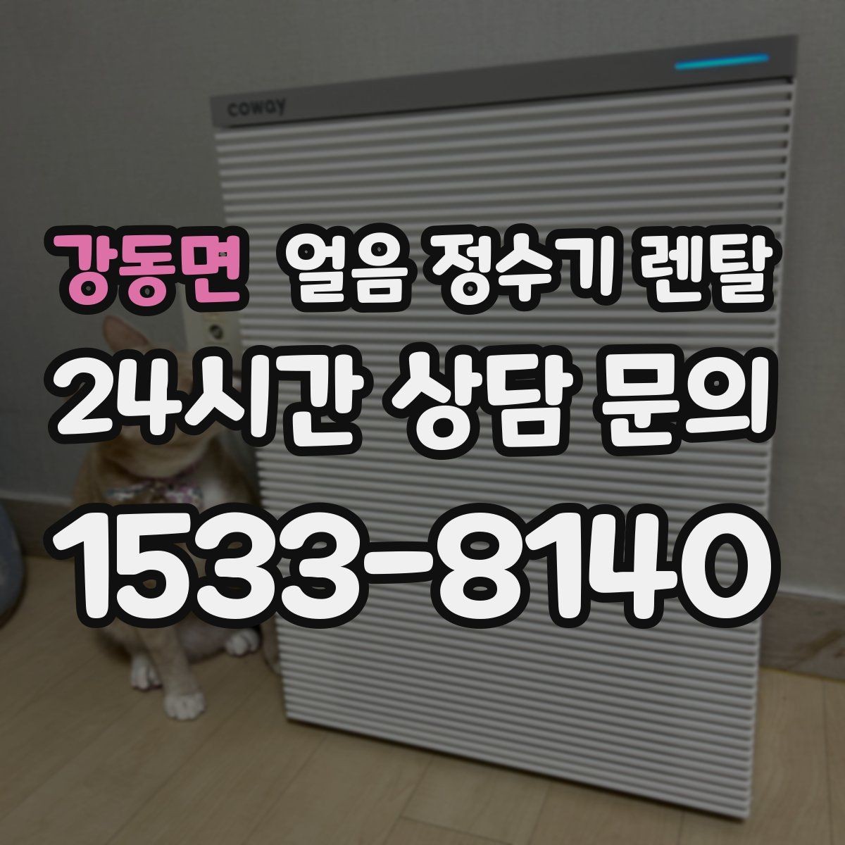 강동면 얼음 정수기 렌탈 제빙 소음이 커지는 대표 원인